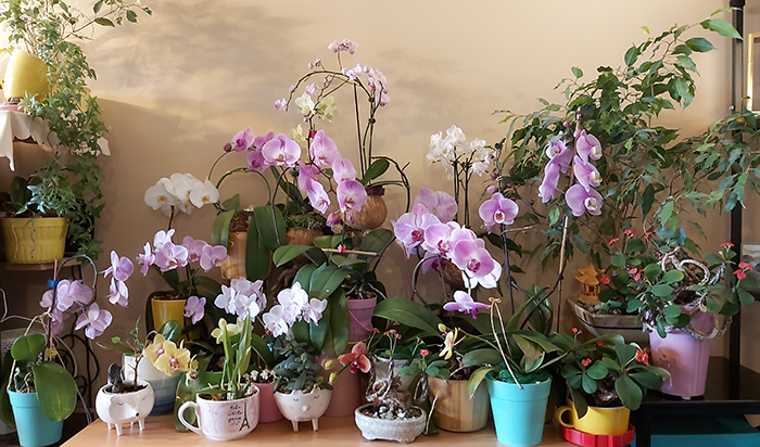 [Image: 20210806-155446.png]