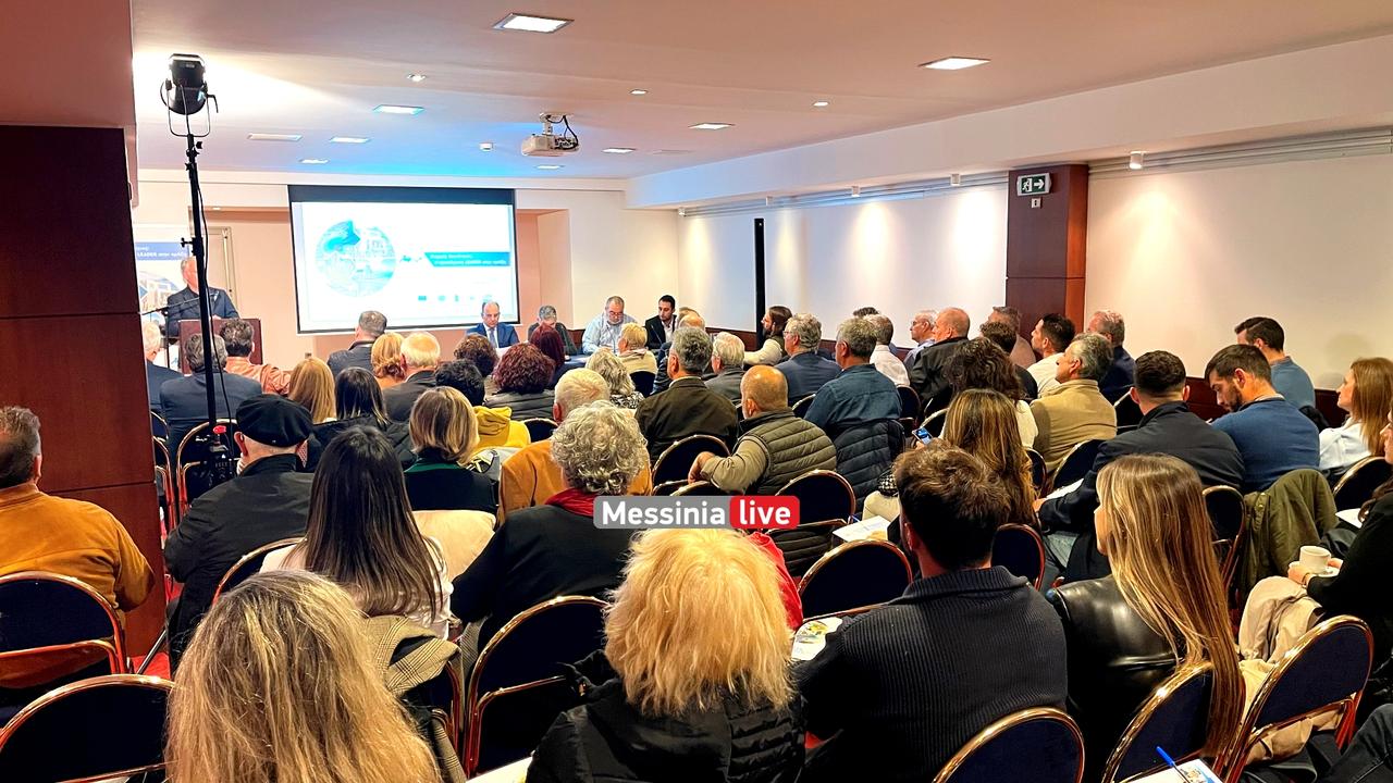 ANAPTYKSIAKH-IMG-8723