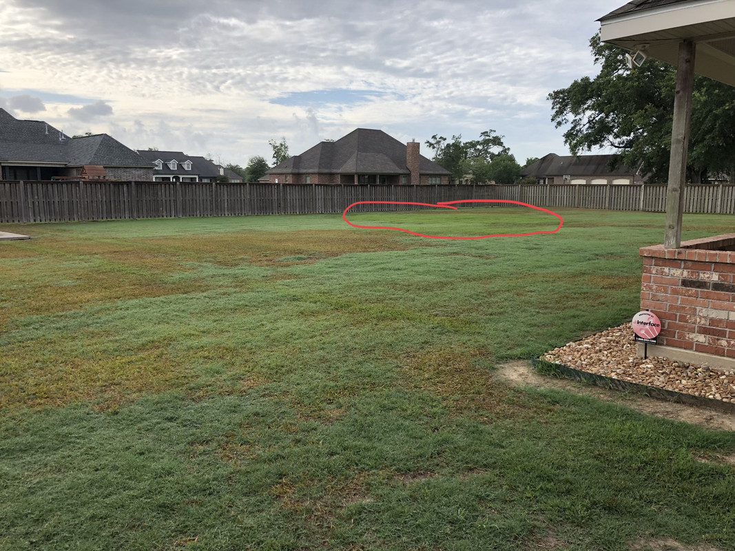 563060B5-05A3-432F-B7D2-CB2B7AAAA3D5