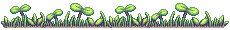 Ground with plants in it.