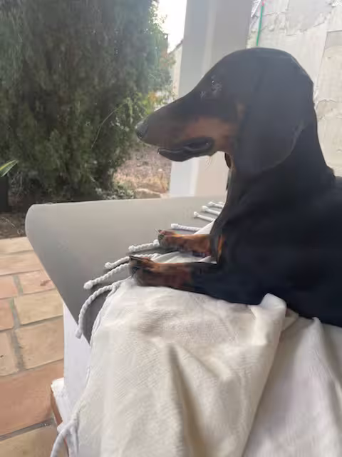 [Image: temp-Imagedxh-Sb-M.avif]