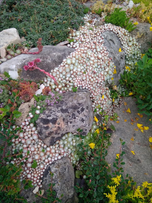 IMG 20230702 194547