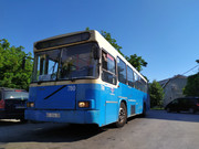 Neobus #780(4)