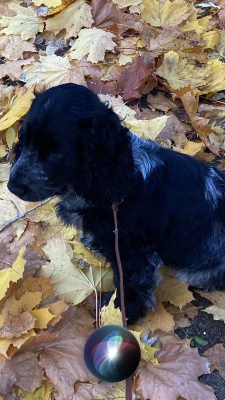 IMG-bd97d84be1e70f2a79542608a0590034-V