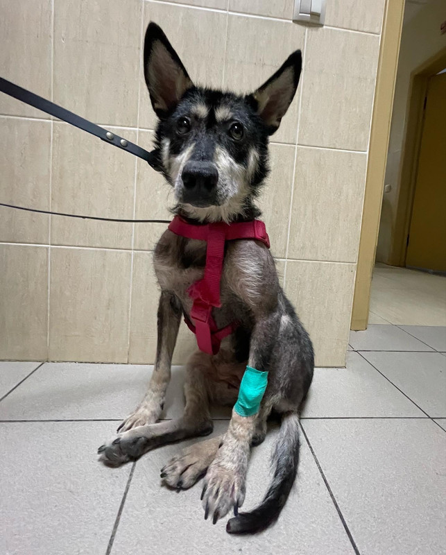 B05BBFD1-EC4E-45F0-9A47-0E6A6D20A1F6