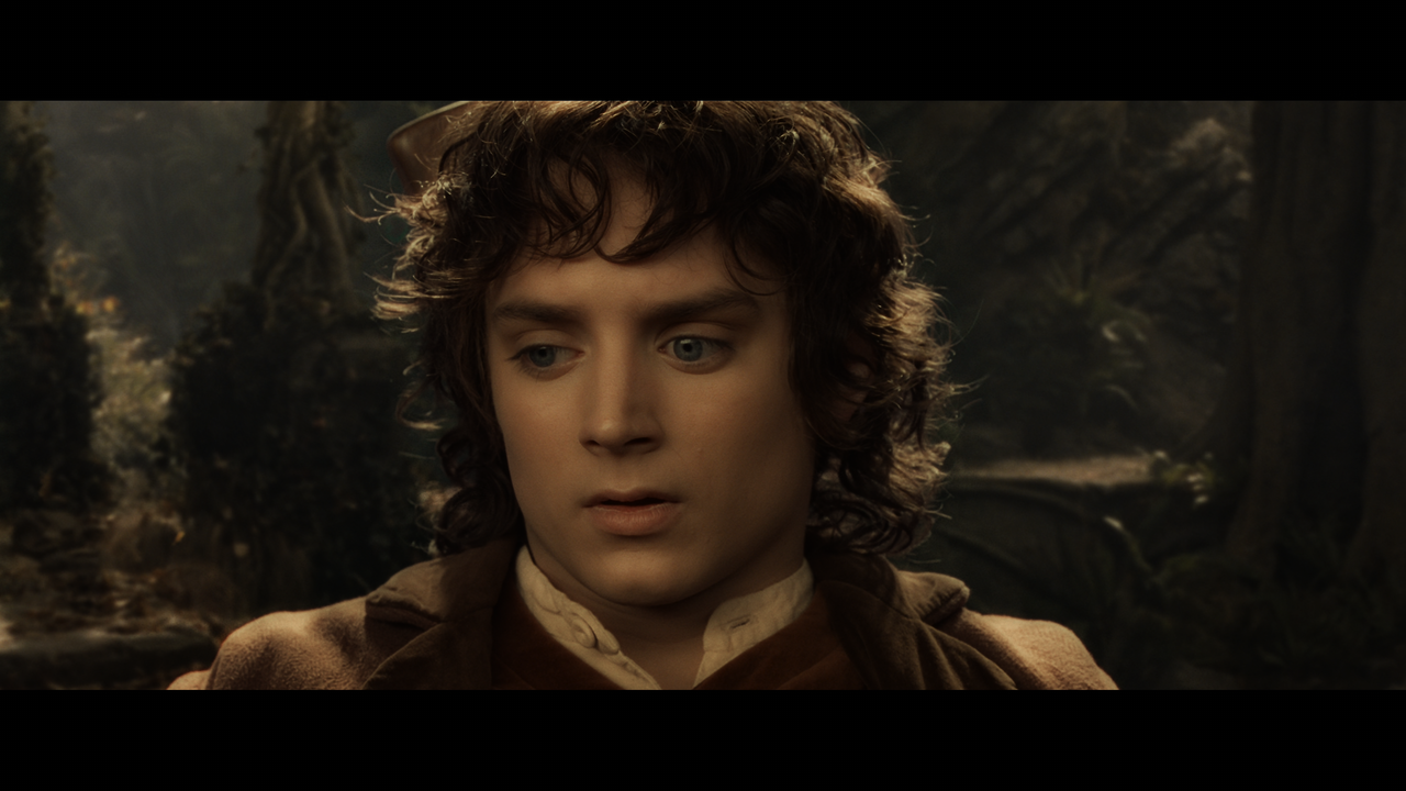 The Lord of the Rings- The Fellowship of the Ring (EXT.) PT. 1.mkv_snapshot_01.38.20_[2020.12.05_22.