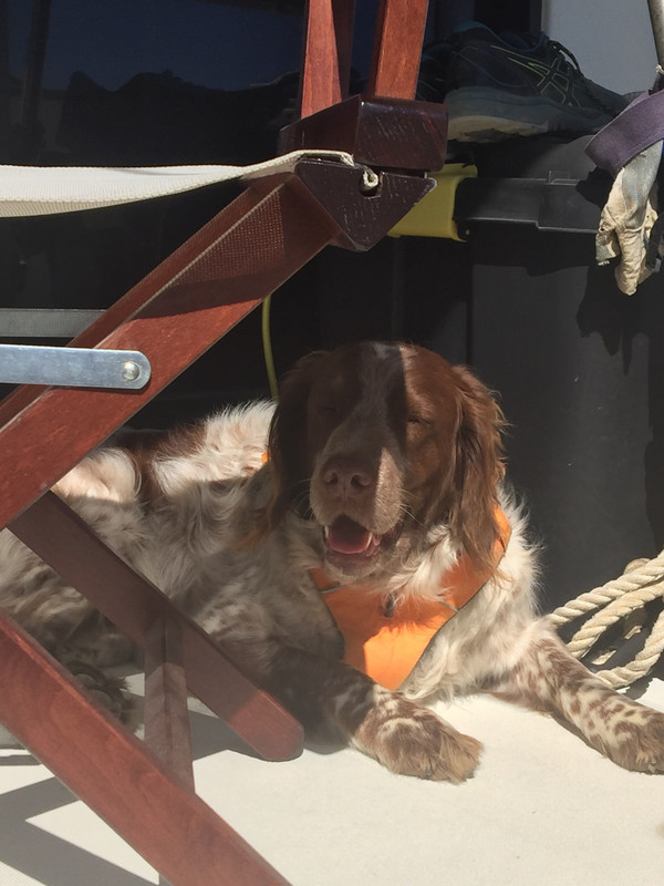 2D625965-5FF5-4FC5-9E45-8E301F8F648F