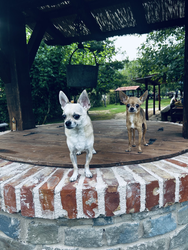 C576F945-6E7F-4A48-B920-1605A6C332CD