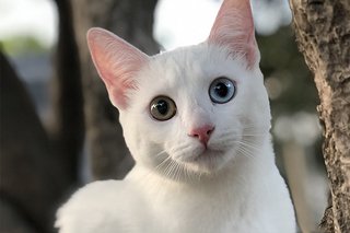 https://i.postimg.cc/rmDB59vz/12212.jpg