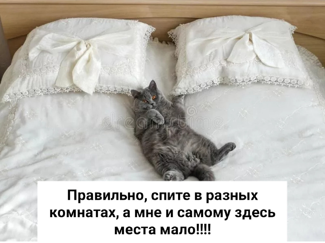 IMG-20211106-193706.jpg