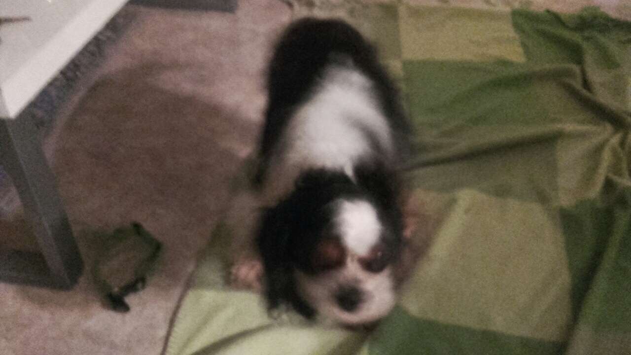 56AA5D78-44D8-4D72-8403-CBEC851DFFFF