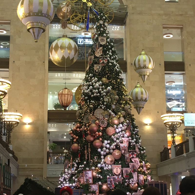 Ладья и Предновогодняя Москва 2025 065