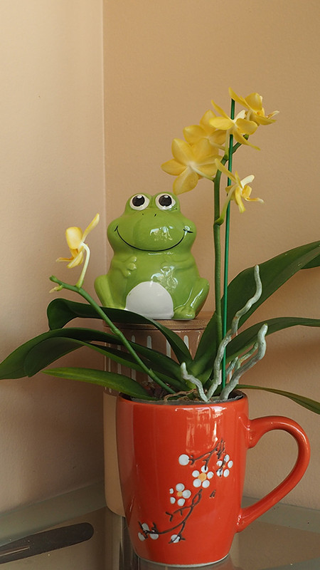 [Image: P3070046.jpg]