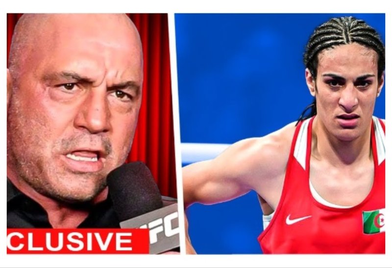 Джо Роугън: Нямам нищо против джендърите, но нека не се бият с жени