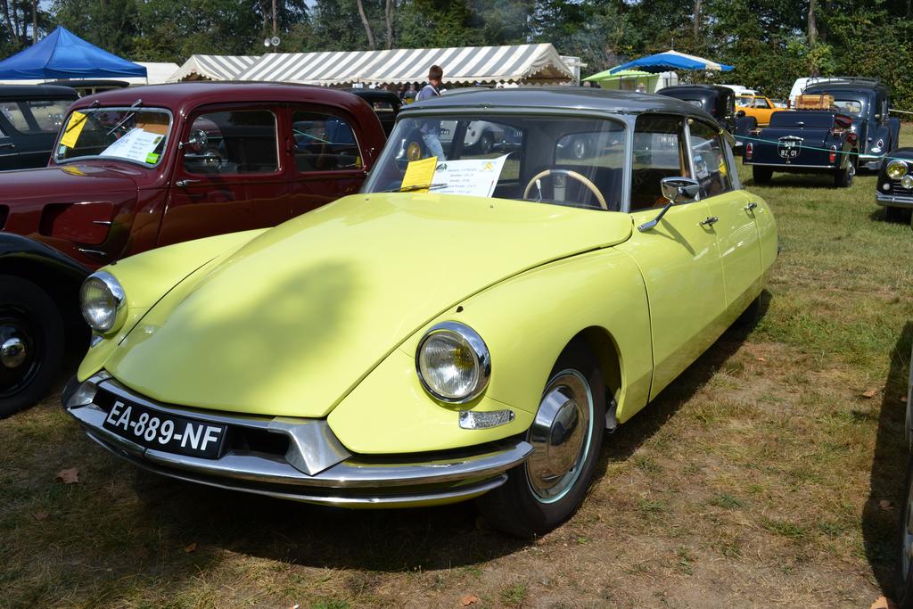 DSC_1341