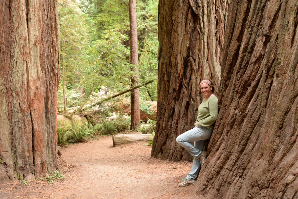Árboles gigantes, fuegos y volcanes extintos - Oregon y California norte (2018) - Blogs de USA - Rogue River y costa norte de California (9)