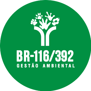 BR-392