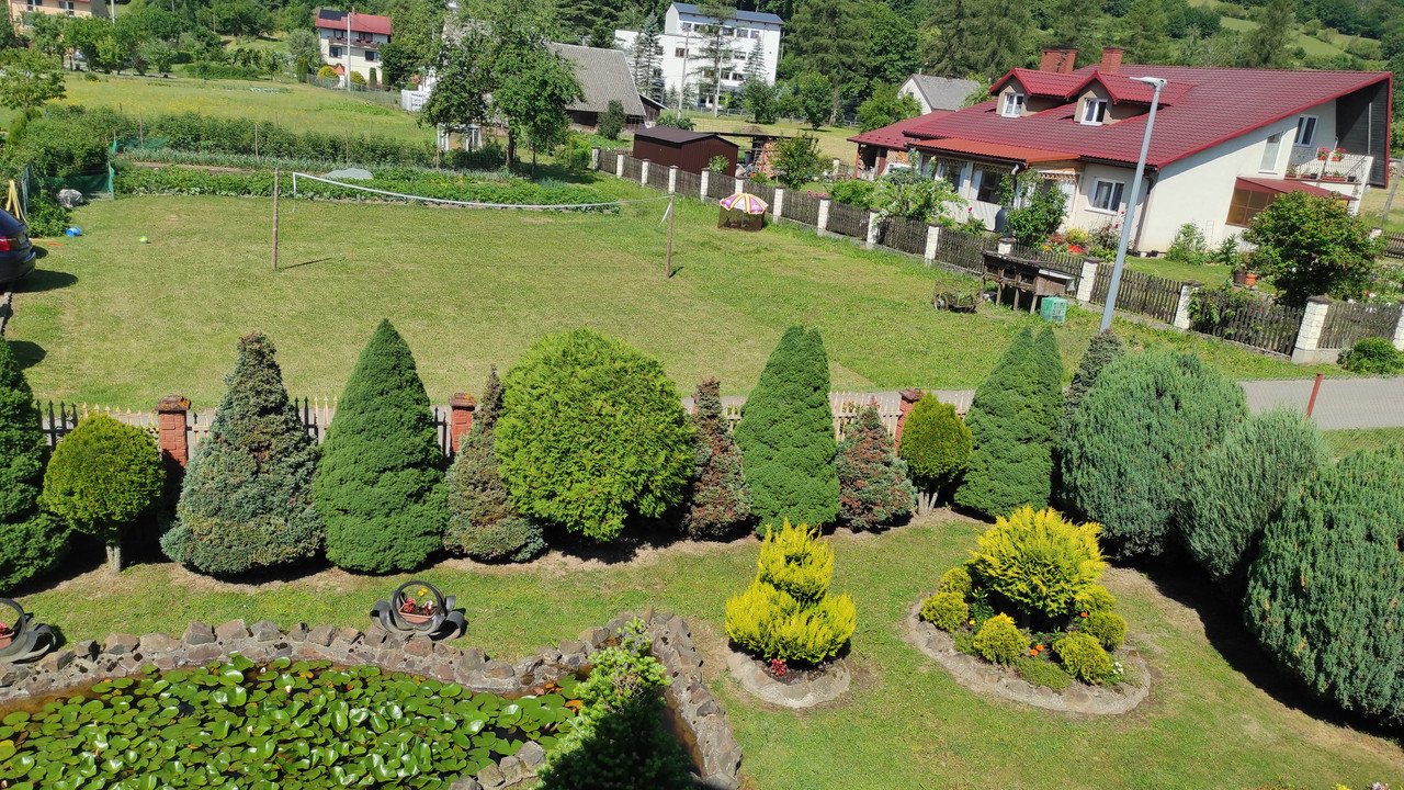 01.12d - IMG_20220616_093642 (Czesio1)