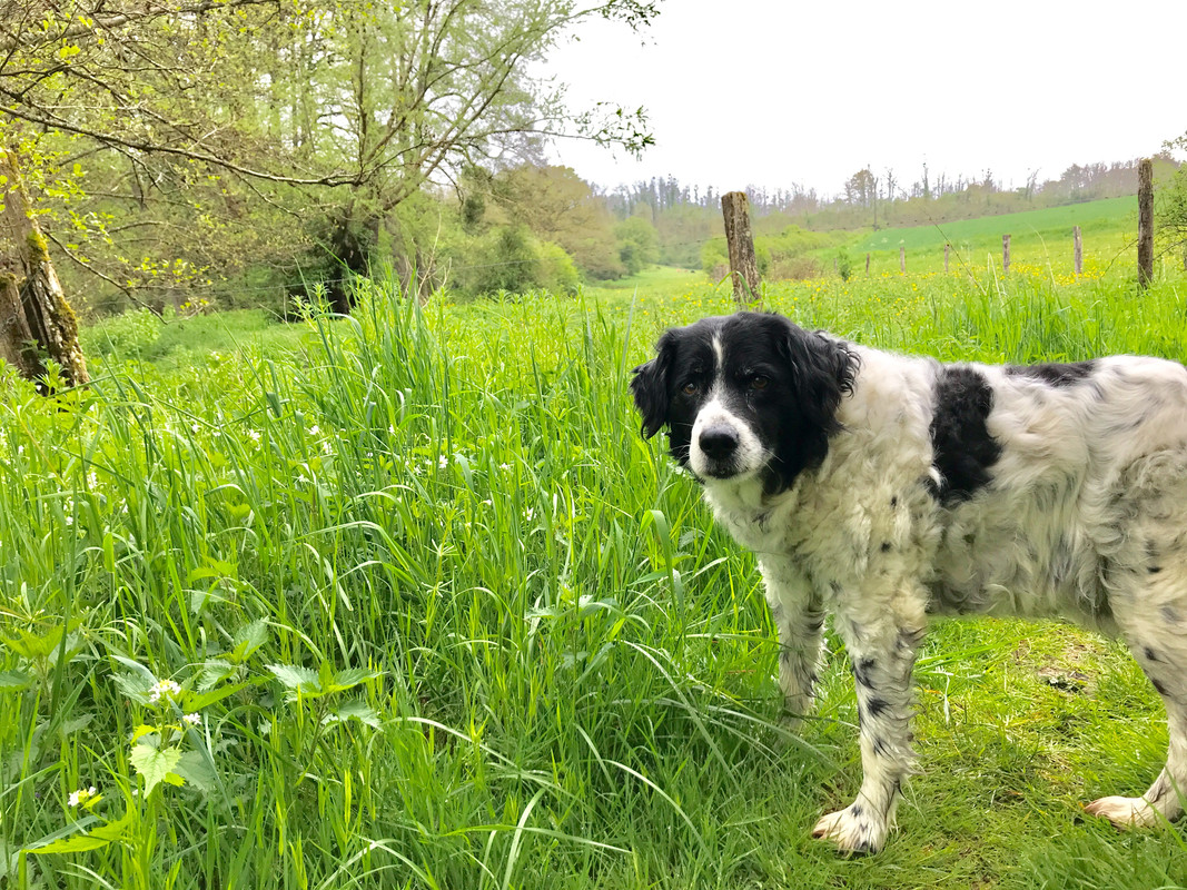 3C7AD320-F1FF-46FB-99E9-4B0096ABBD6E