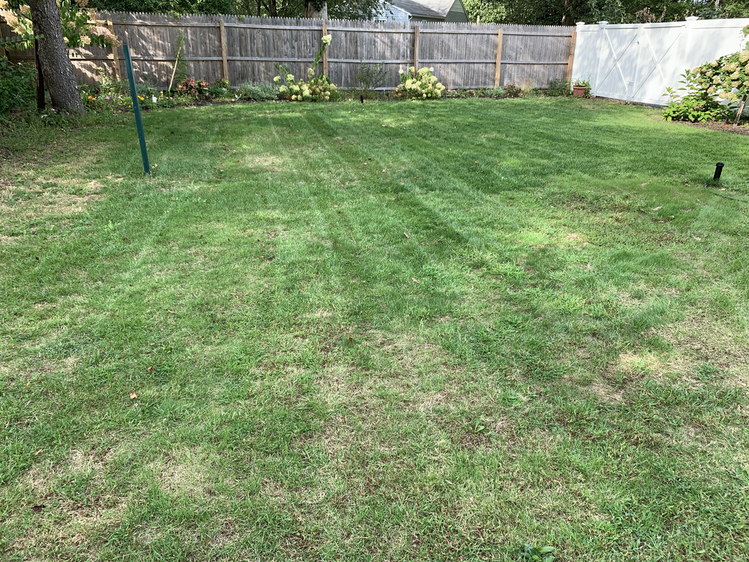 66E7E9D6-352C-4E06-8F65-8777203E51DA