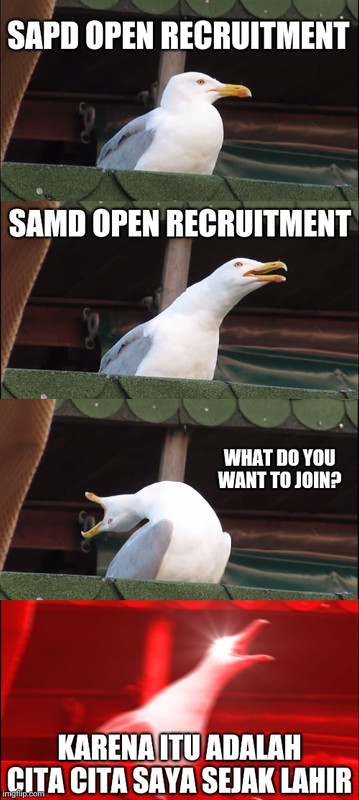 4146pl.jpg