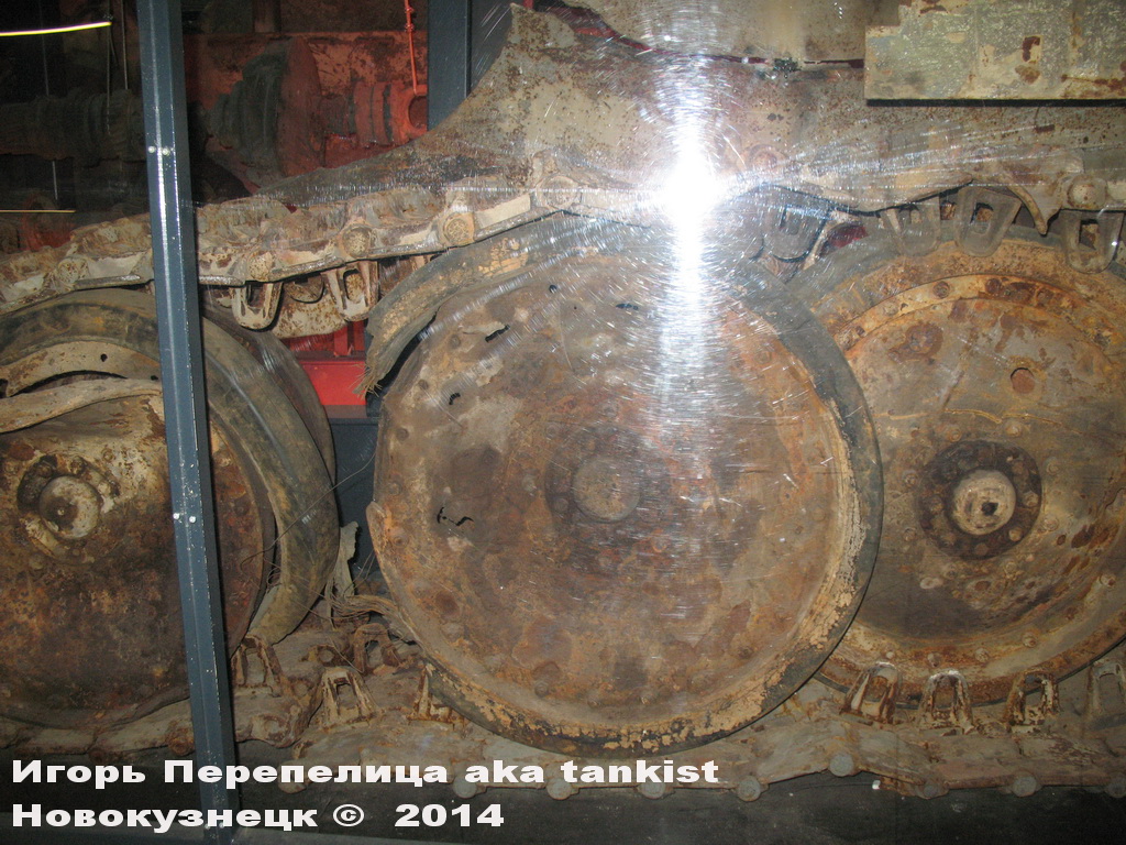 Panther_Sinsheim_093