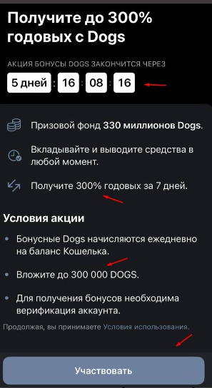 article content image