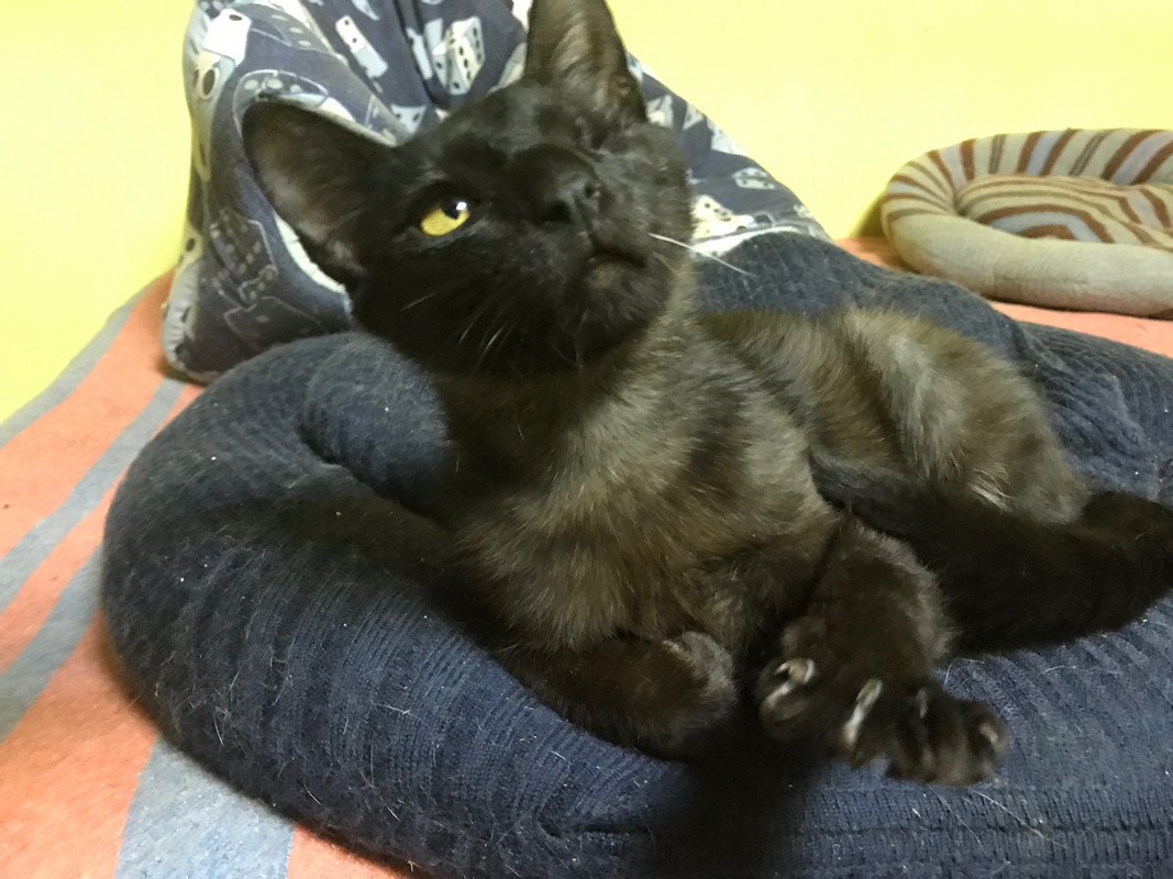 A69CB940-61B9-4E94-A15A-1BC1FEE3BFDB