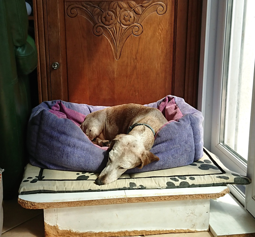 [Image: 20230802-121451.jpg]