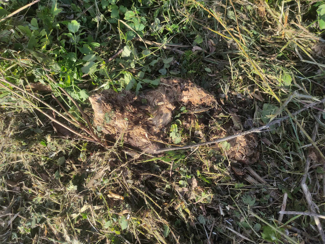 380117442_3593768700879822_6847977326009460225_n