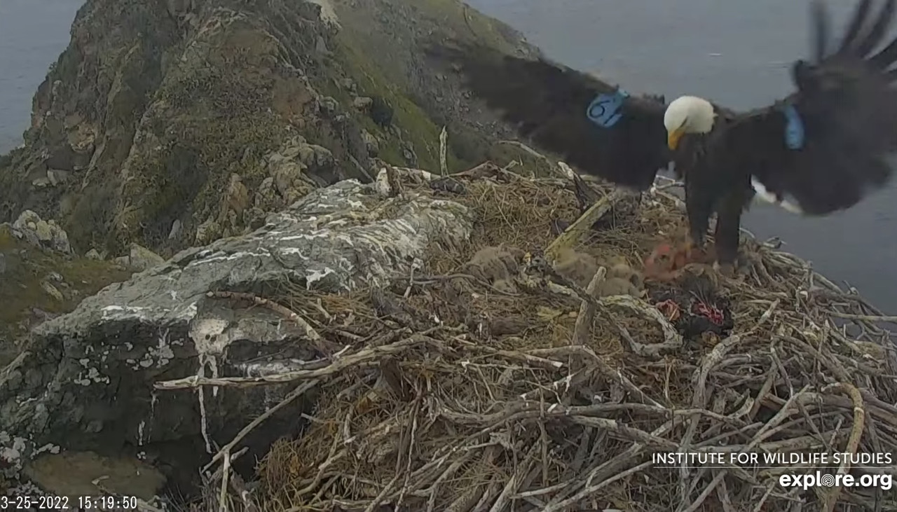 F5DC0133-9655-4BF6-923F-A2DC5EBBC310