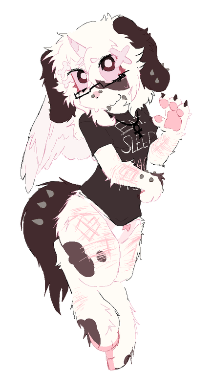 Nikolette