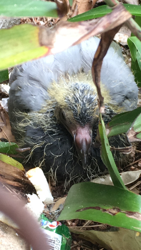 A1F3C237-883F-482A-9918-62F6150BA36E