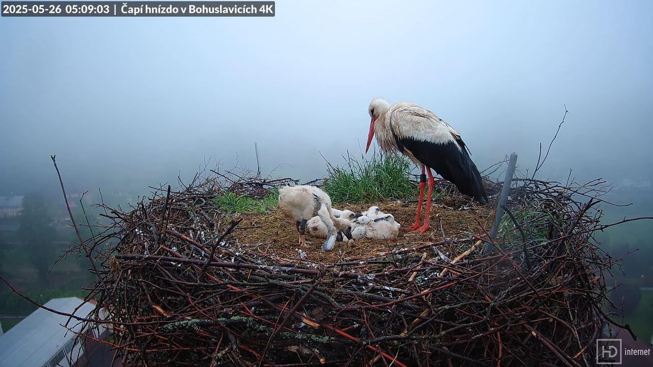 Tiešraide no KARA uzņēmuma stārķu skursteņa Bohuslavicē netālu no Trutnovas 4-58-20 screenshot
