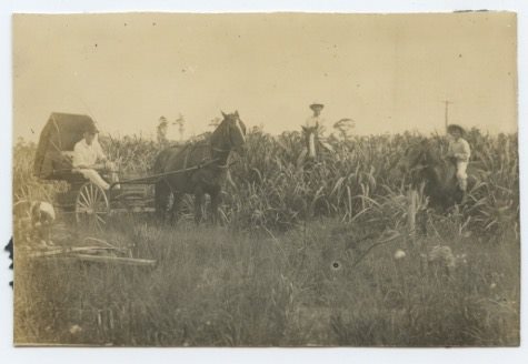 46093525_10216109300101886_5697308915969032192_n