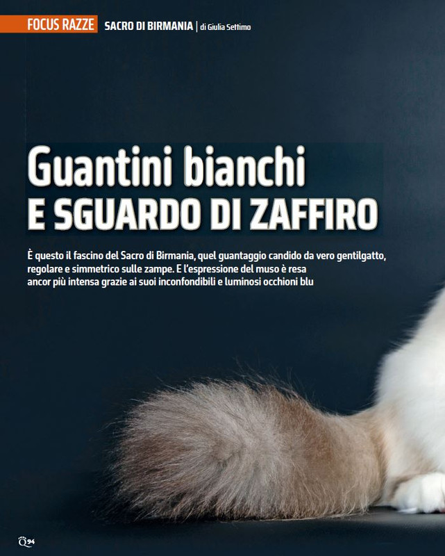 QuattroZampe Set 2024 (7)