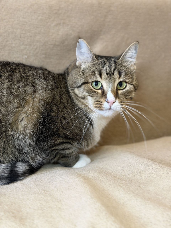 IMG 20251116 224745 632