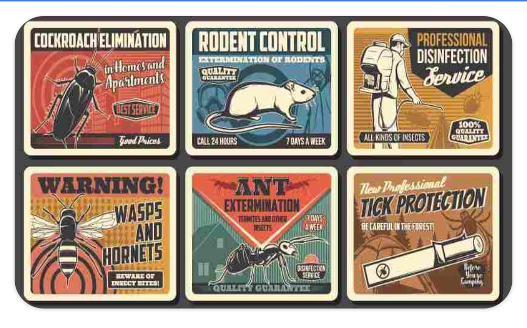 Pest Control Services, Termite,ant, cockroach, Rodents tick,Bed Bug