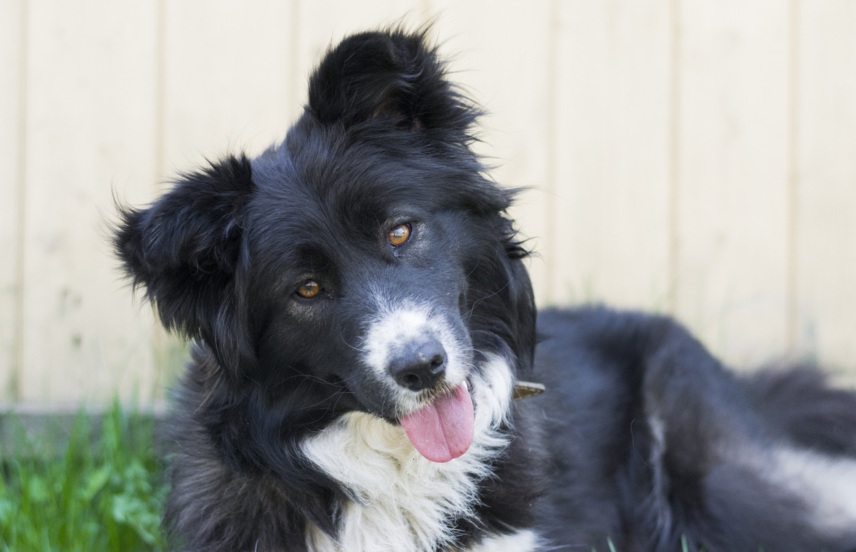 Фортуна_04_19_м1