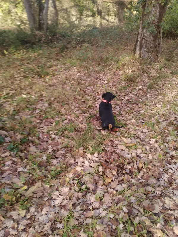 [Image: IMG-20230115-145422.jpg]