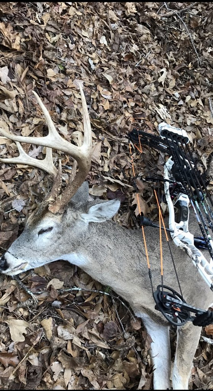 E8E3D3AE-7EAF-44F3-B2FA-AE6B9E9DB376