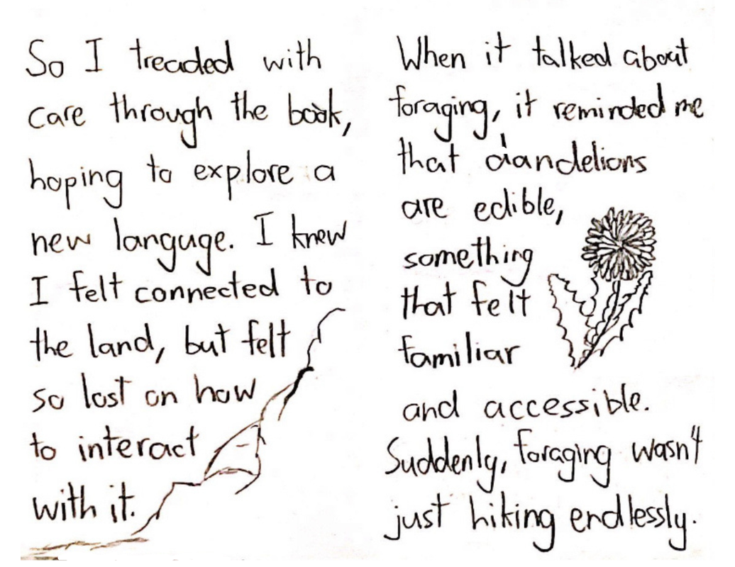 The third page reads “So I treaded with care through the book, hoping to explore a new language. I knew I felt connected to the land, but felt so lost on how to interact with it.” In the bottom right corner, there is a doodle of one side of a small, rocky hill. The fourth page reads “When it talked about foraging, it reminded me that dandelions are edible, something that felt familiar and accessible. Suddenly, foraging wasn’t just hiking endlessly.” In the middle right section of the page, there is a small line-art drawing of a dandelion— the yellow kind, not the fluffy kind.