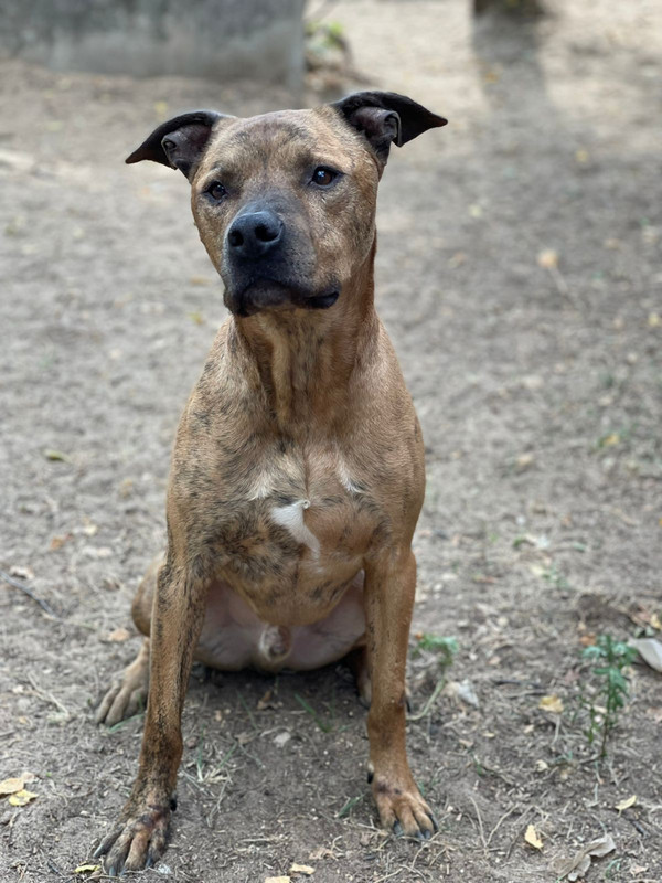 WhatsApp Image 2022-08-05 at 20.23.26 (3)