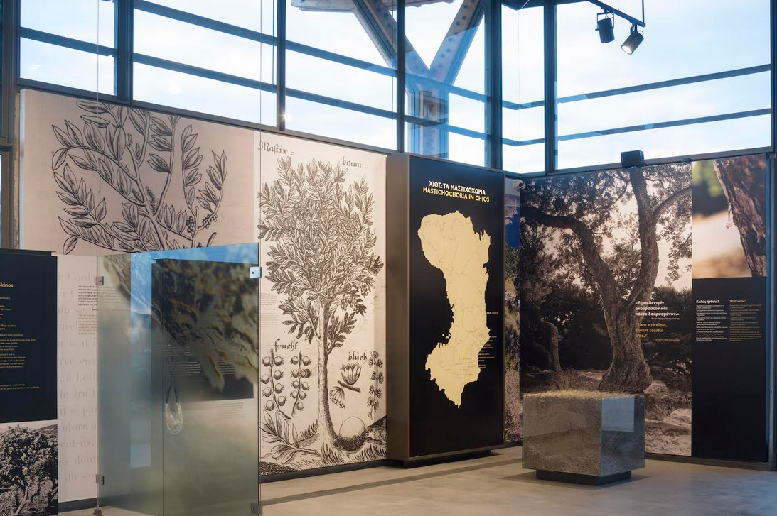 «ΤΟ ΜΟΥΣΕΙΟ ΜΑΣ». ΔΡΑΣΗ ΓΙΑ ΕΚΠΑΙΔΕΥΤΙΚΟΥΣ ΣΤΟ ΜΟΥΣΕΙΟ ΜΑΣΤΙΧΑΣ ΧΙΟΥ