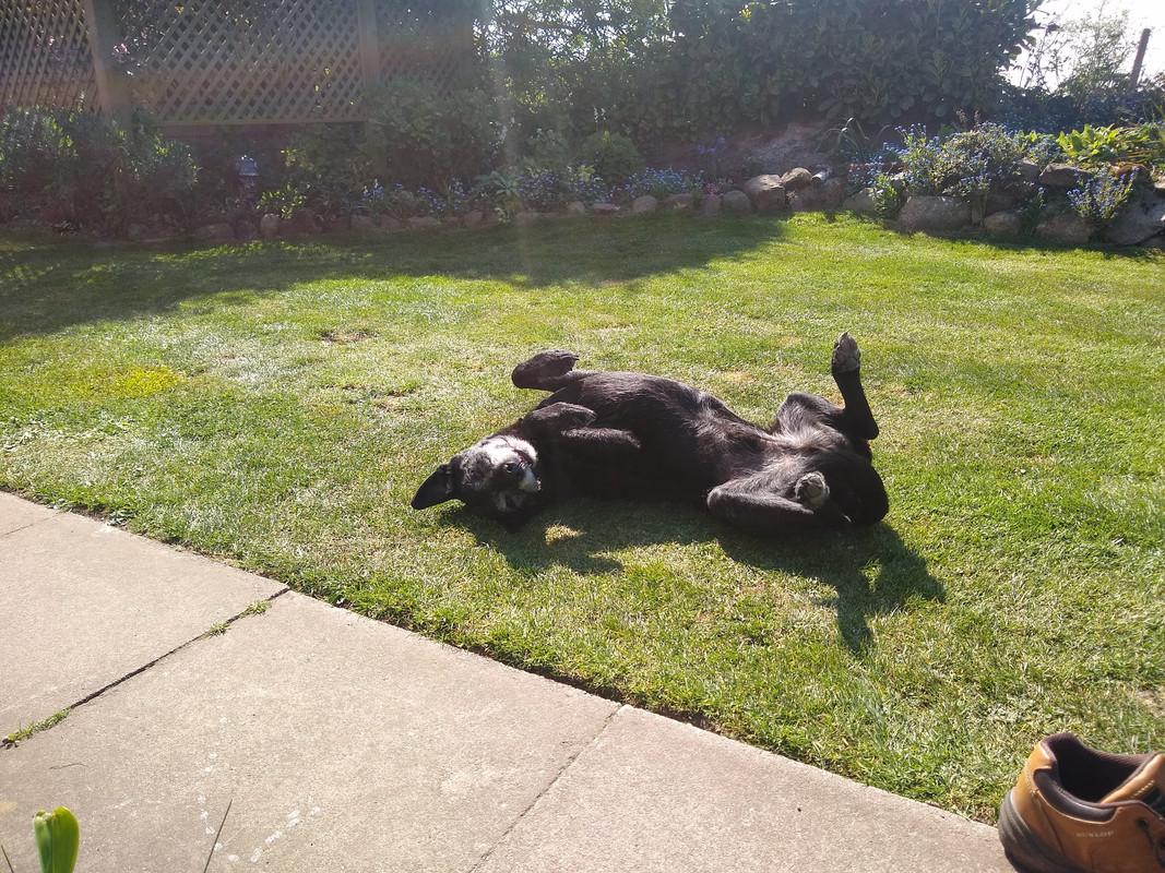 IMG_20200424_152010679