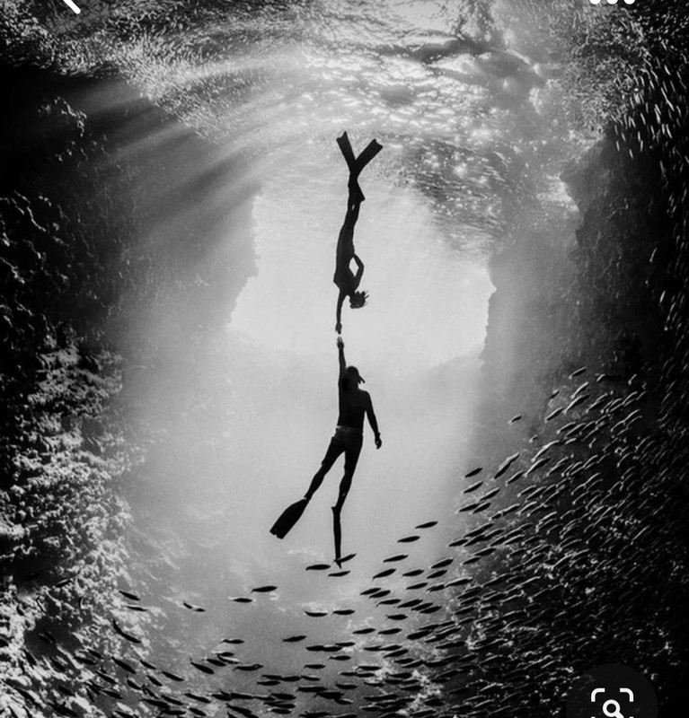 Screenshot_20230804_233636_Pinterest