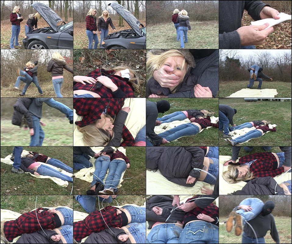 slsv_5237.mp4