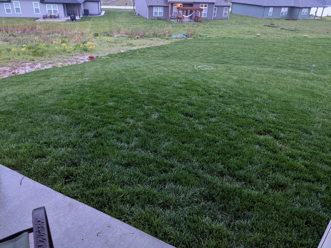 PXL_20210417_112243264