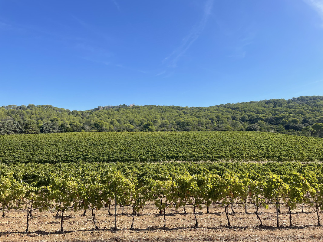 0E9BBDE8-9214-4DE5-95CC-68E444730F96