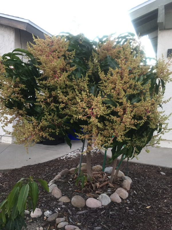 EDABE6B3-0CC1-400F-B4E1-E4398B553183